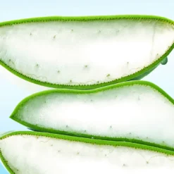 Blue Oasis Aloe Hydrating Serum