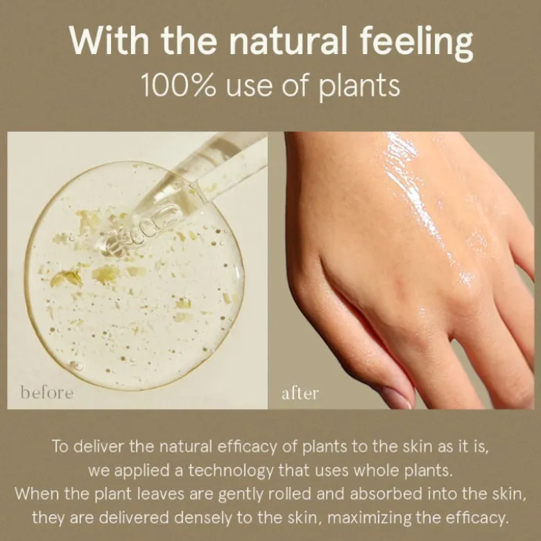 Centella Asiatica Serum