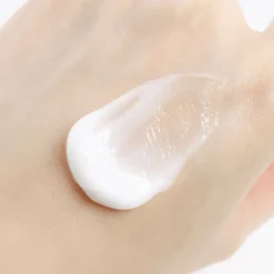 1025 Dokdo Cream