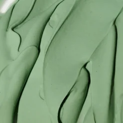 Expert Spirulina Cooling Modeling Mask