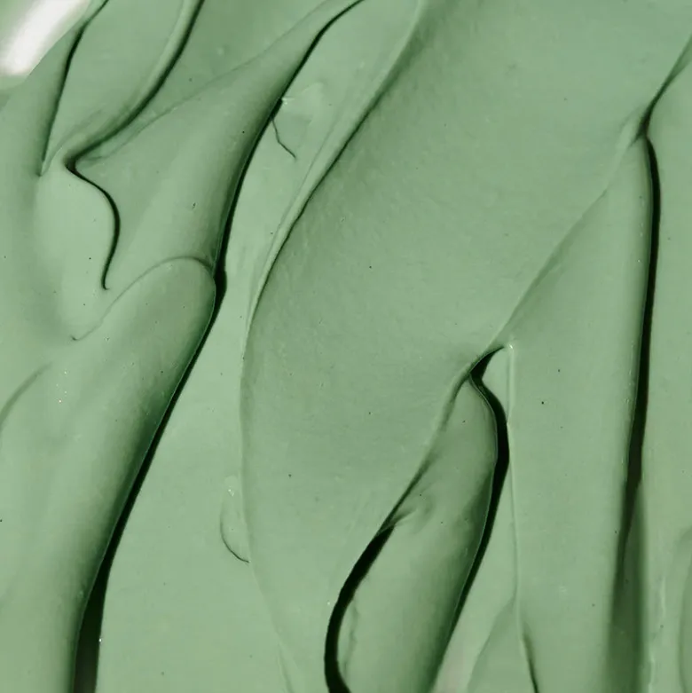 Expert Spirulina Cooling Modeling Mask
