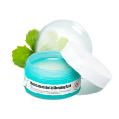 Madecassoside Lip Sleeping Mask