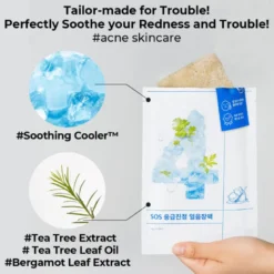 No.4 Icy Soothing Sheet Mask