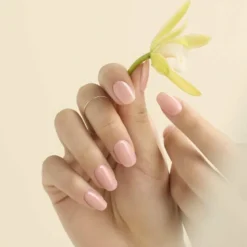 N Spring 001