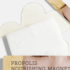 Propolis Nourishing Magnet Sheet Mask