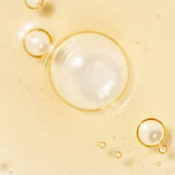 Revive Serum : Ginseng + Snail Mucin