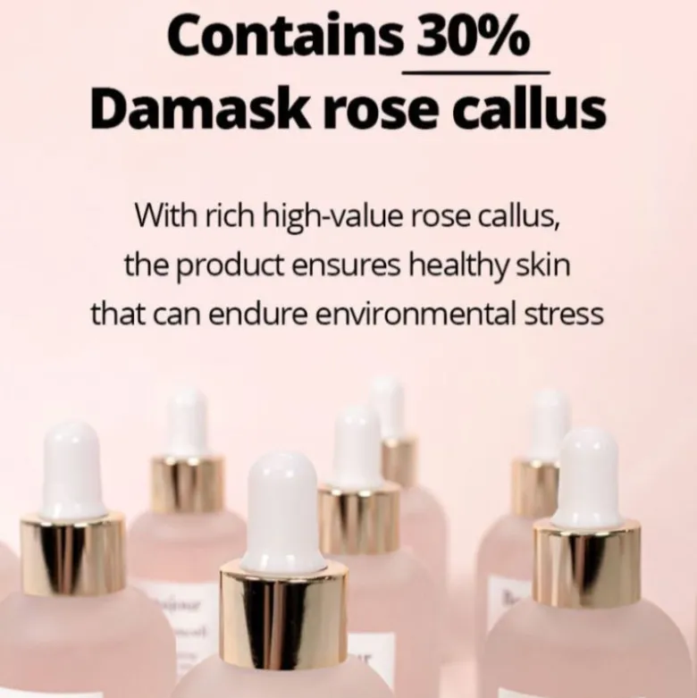 Rose Stemcell Ampoule