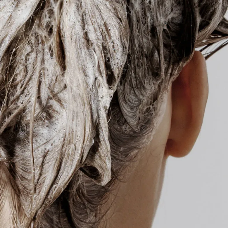 Shampoo Signature