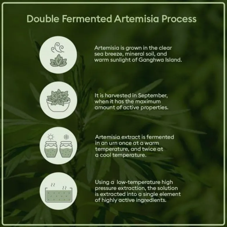 Time Revolution Artemisia Treatment Essence