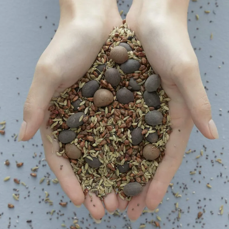Vital Treatment 9 Essential Seeds
