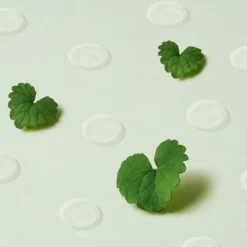 Wonder Releaf Centella Spot Patch